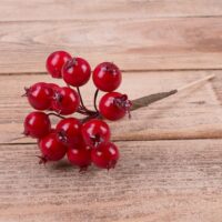 Калина на бамбуковой ветке №3269