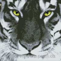 Миледи СЛ-2028 Тигр, схема под бисер