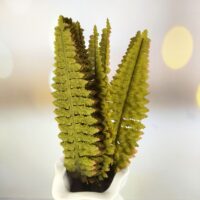 Листок папороть жовто-багряний 40см Л-16