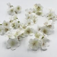 Суцвіття яблуні НД118 3,5см біле