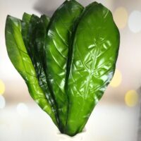 Лист монстери атлас 66см зелений 21053