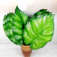 Лист монстеры 1-82 зеленый с ободом