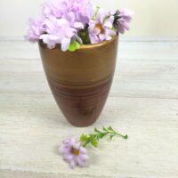 Ромашка бузкова 10шт