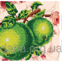 ДАНА-223 Зеленые яблоки, схема под бисер