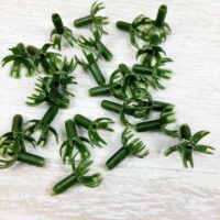 Тычинка гвоздик Х-113 10шт