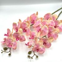 Гілка орхідеї 100см 9гол. НД50 ніжно-персикова