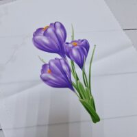 АртСтудіо,Шовковий Сад