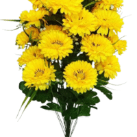 Букет гербери на 24 голови SV-041