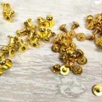 6259 Винт кобурной точечный 10*6мм золото