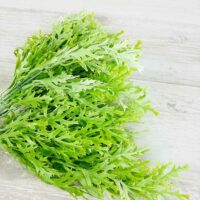 Исландский мох, 37см зеленый ТРА1-010