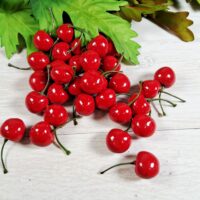 Вишня декор 3,5см НТ348