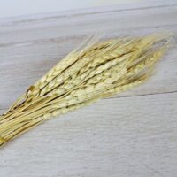 Колоски пшениці вибілені 60см ~50шт КЛ1