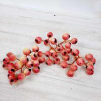 Ягода калина. Розовая Я7