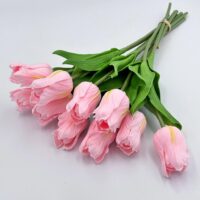 Тюльпан латекс «Есперанто» НД27 Ніжно-рожевий