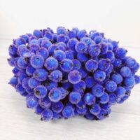 Ягода в цукрі 12см синя пучок