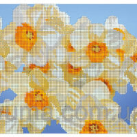 ЮМА 376 П3 Нарцыссы, схема под бисер