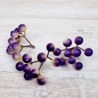 Ягода калина сиреневая D-01044-3