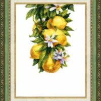 Crystal Art ВТ-136 Полезные лимоны , набор для вышивания нитками
