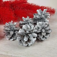 Шишка натуральная серебро 8-10см