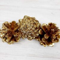 Шишка натуральная золотая 5-7см Ш2