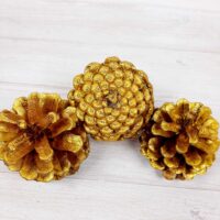 Шишка натуральная золотая 10-13см ШН