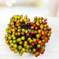 Ягода на проволке 12мм зеленый с бордовым боком