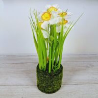Нарциси зі штучним мохом пластик 22см білий із зеленим 714-128