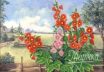 Маричка РКП-2-016 Мальвы у дороги, схема
