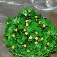 Сфера Бутончик у самшиті діаметр 21см С-4