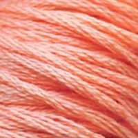 Мулине CXC 3824 8м 100% полиэстер