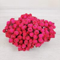 Ягода в цукрі 12см корал пучок