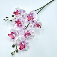 Гілка орхідеї 80см 2гіл. НД52 біло-рожева пантерна