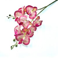 Гілка орхідеї 80см 2гіл. НД52 фуксія пантерна