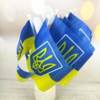 Прапор 14*21см "Україна тризуб" 231486