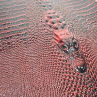 Кожзам с тиснением Голова Дракона бордо 20*25см 6541!