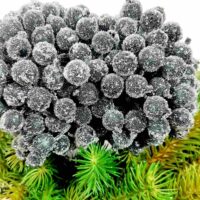 Ягода в цукрі 12см чорна пучок