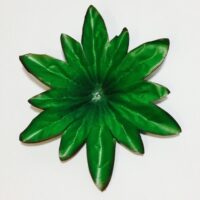 Лист подставка В-2 черный кант