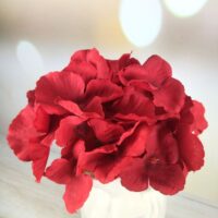 Квітка гортензії 18см Червона 050158-4