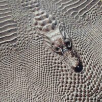 Кожзам с тиснением Крокодил серый 35*50см 6532