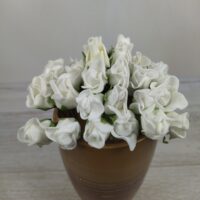 Розочки высокий бутон 10792-1-6-1 белый