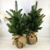 Ялинка лита Classic 50см зелена 210/50/G