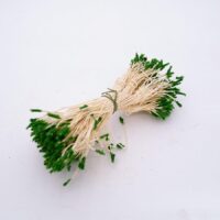 Тичинки оксамитові на нитці 10см 10шт зелений