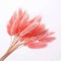 Лагурус світло-рожевий 60см ~50шт