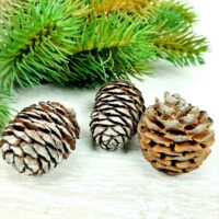 Шишка Мурри 3-5см №306 200г