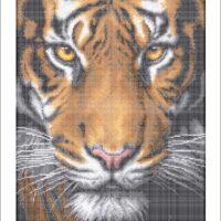 Золотая подкова ЗПТ-015 Тигр, схема под бисер