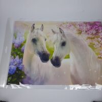 Принт СР-7 28см*41см А3