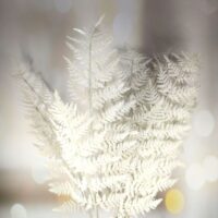 Гілка Папороть 66см білий гліттер 839-303