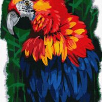 Картина за номерами КНО4462 Єдиний і неповторний 30*40см