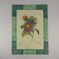 Арт постер репродукція "P.-J.Redouté "Каллістефус" 13*18см