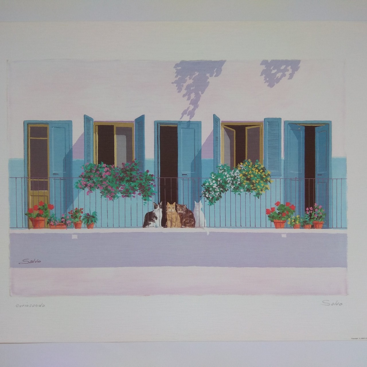 Арт постер репродукція "Salvo"Curiosando" 50*70см